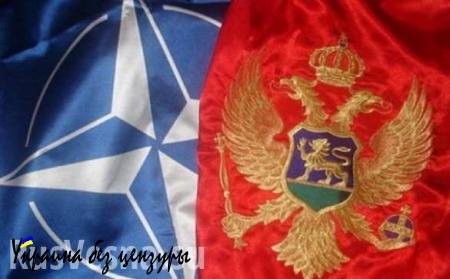 В России объявили, как отреагируют на возможное вступление Черногории в НАТО