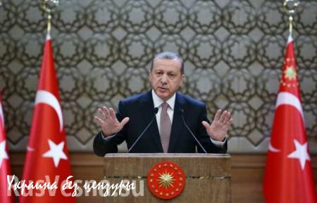 Эрдоган собирается «взвешенно отреагировать на эмоциональные действия России»
