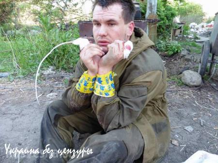 Как украинские СМИ «от ДНР умученных» считали