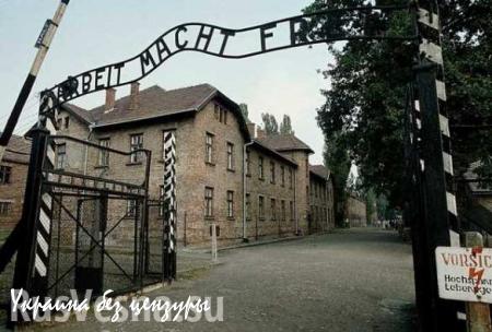 Бывший санитар Освенцима будет осужден за убийство 3681 человека