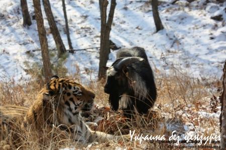Буря в Харькове и конфуз Минобороны: фото дня