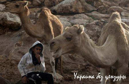 Буря в Харькове и конфуз Минобороны: фото дня