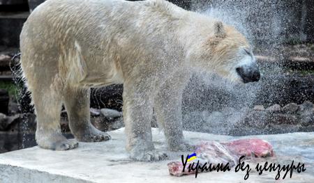 Буря в Харькове и конфуз Минобороны: фото дня