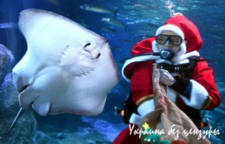 Буря в Харькове и конфуз Минобороны: фото дня