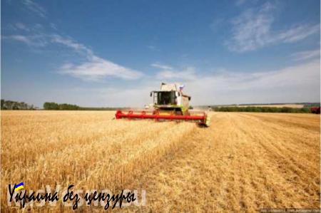 Урожай зерна в России превысил 102 млн тонн