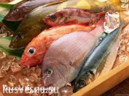 Ввоз рыбопродукции через Литву будет запрещен