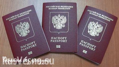 Госдума разрешила россиянам иметь по два загранпаспорта