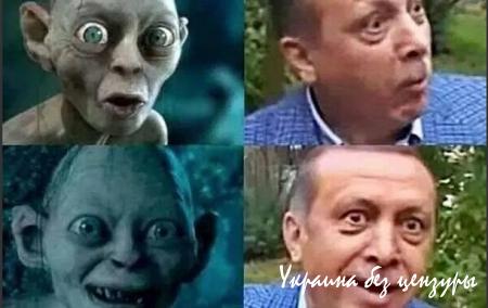 Султан Эрдоган. Авторитарные замашки лидера Турции