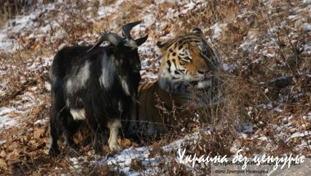Заснеженный Киев и корона Путина: фото недели