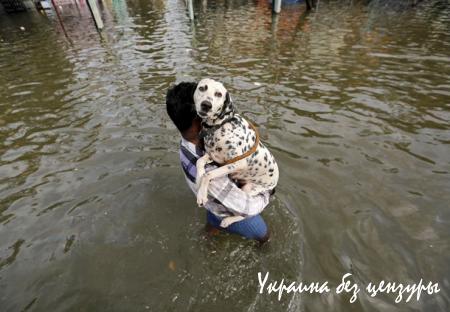 Заснеженный Киев и корона Путина: фото недели