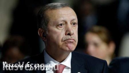 Эрдоган: Турция может найти поставщиков нефти и газа помимо России