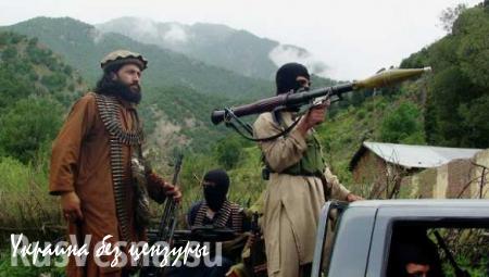 Главарь талибов Мулла Мансур скончался в Афганистане