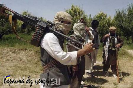 Талибы распространили сообщение с опровержением гибели своего лидера