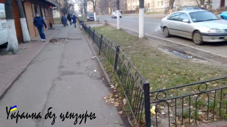 «Такого геноцида Украина еще не знала»: впечатления эмигранта от посещения Киева (ФОТО)