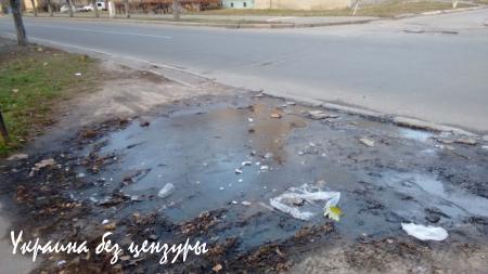 «Такого геноцида Украина еще не знала»: впечатления эмигранта от посещения Киева (ФОТО)