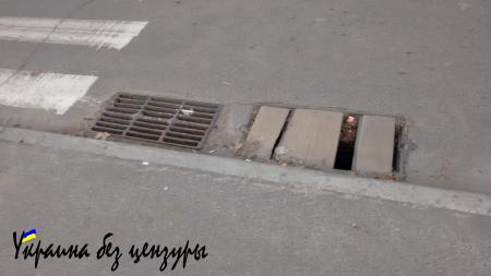 «Такого геноцида Украина еще не знала»: впечатления эмигранта от посещения Киева (ФОТО)