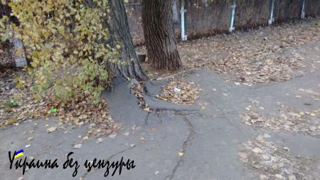 «Такого геноцида Украина еще не знала»: впечатления эмигранта от посещения Киева (ФОТО)