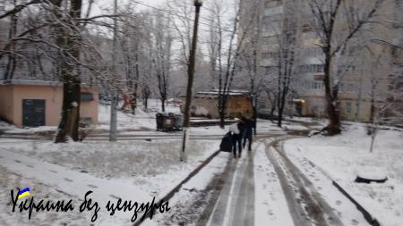 «Такого геноцида Украина еще не знала»: впечатления эмигранта от посещения Киева (ФОТО)