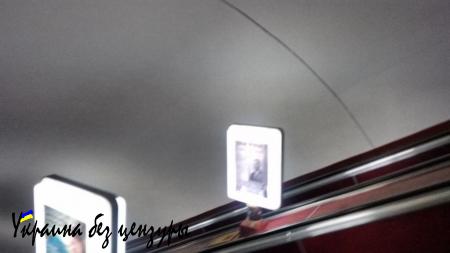 «Такого геноцида Украина еще не знала»: впечатления эмигранта от посещения Киева (ФОТО)