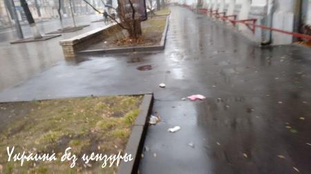 «Такого геноцида Украина еще не знала»: впечатления эмигранта от посещения Киева (ФОТО)