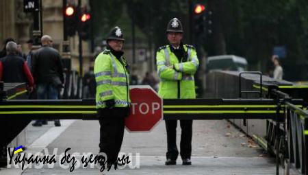 В Лондоне задержан подозреваемый в угрозах парламентариям из-за Сирии