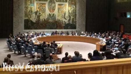 МИД Сирии направил в Совет Безопасности ООН ноту протеста из-за авиаудара американской коалиции