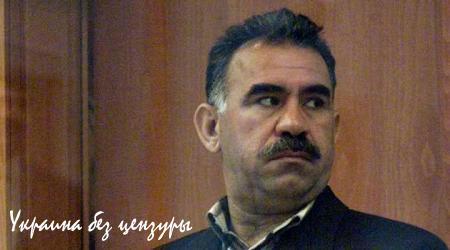 Курды, чьи вы будете? (ФОТО)