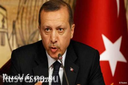 Молодёжное крыло партии Эрдогана призвало сбивать самолёты РФ