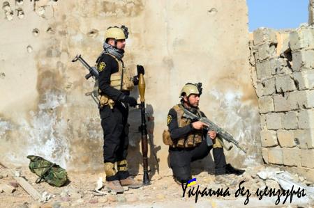 Армия Ирака отбила у ИГИЛ часть города Эр-Рамади