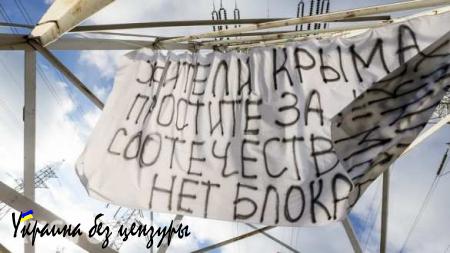 В Запорожье вывесили плакаты со словами стыда за своих соотечественников, участвующих в антикрымской истерии (ФОТО, ВИДЕО)
