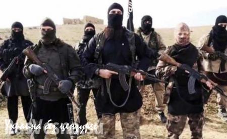 ИГИЛ с «человеческим лицом»: Запад собирается признать халифат партнером в сирийском урегулировании?