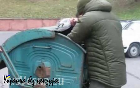Украинский мир: чиновника бросили в мусорный бак (ФОТО, ВИДЕО)