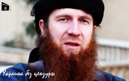 Россия на расстоянии выстрела: «бомбы» Халифата уже в Грузии (ФОТО)