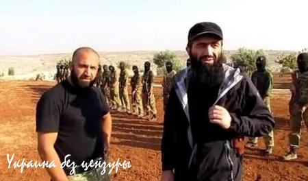 Россия на расстоянии выстрела: «бомбы» Халифата уже в Грузии (ФОТО)