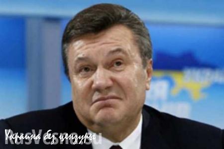 «Витя, где ты был?» — о возвращении Януковича в политику