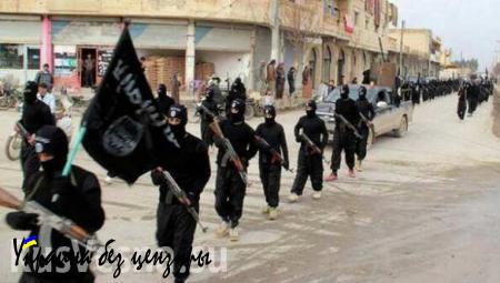 ИГИЛ располагает оборудованием для печати сирийских паспортов