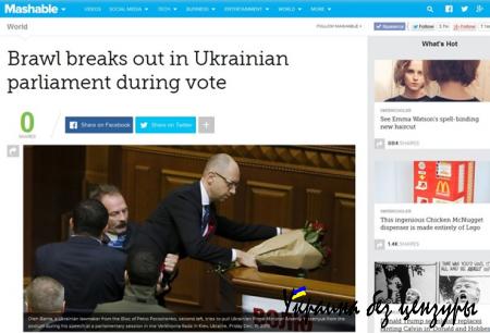 Кэмерон, остерегайся! Мир оценил драку в Раде