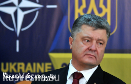«Порошенко гад, его надо судить», — ветеран-фронтовик о президенте Украины (ВИДЕО)