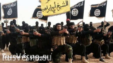 ИГИЛовцы расстреляли демонстрацию своих союзников в сирийском городе Дамир