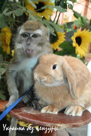 Невероятные пары в российских зоопарках (ФОТО)