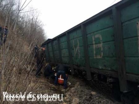 Во Львовской области грузовой поезд сошел с рельсов, 2 вагона упали в реку (ФОТО)
