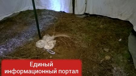 «Хуже чем бомжи» — шокирующий репортаж украинского блогера о жизни морской пехоты под Одессой (ФОТОРЕПОРТАЖ)