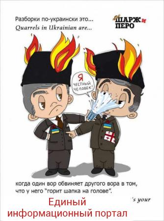 Это наша страна, и мы ее очистим от воров: Саакашвили прокомментировал видео конфликта с Аваковым (ФОТО)
