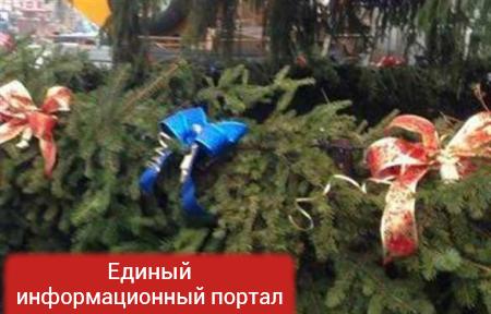 В Мукачево с главной новогодней елки похитили игрушки (ФОТО)