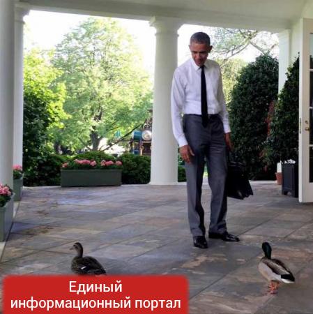 Обама с утками и горящий камин — главные события года по мнению фотографа Обамы (ФОТОЛЕНТА)