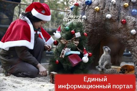 Крымский закат и свинья под Радой: фото дня